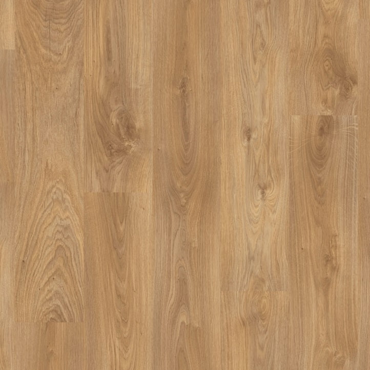 Vineyard Oak LO341-03366