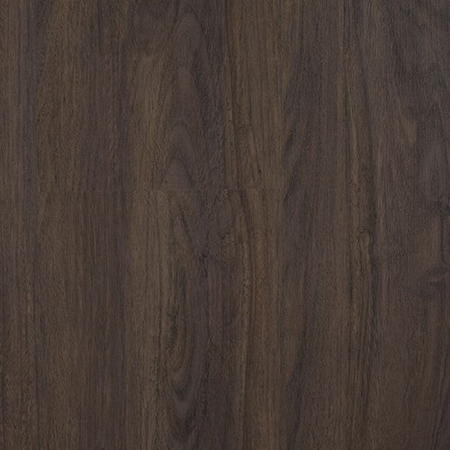 American Walnut St-7002